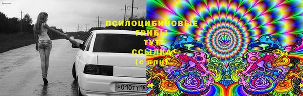 трава Балабаново