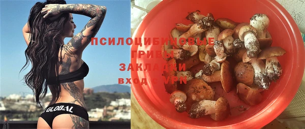 PSILOCYBIN Балахна