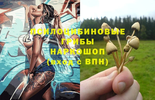 PSILOCYBIN Балахна
