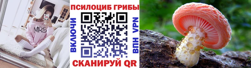 Галлюциногенные грибы Psilocybe ОМГ ОМГ ТОР сайты даркнета какой сайт Кунгур